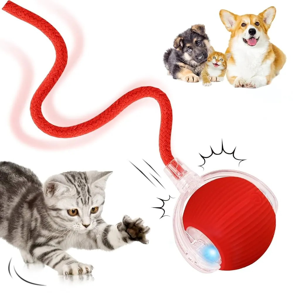 Interactive Calming Cat Ball