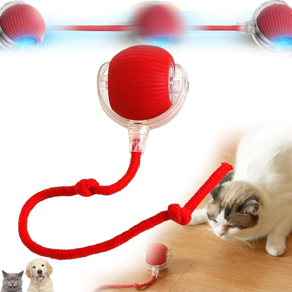 Interactive ball toy in motion