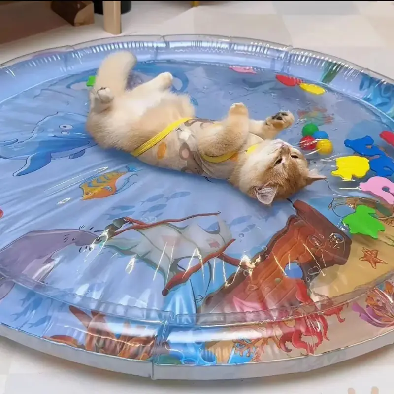 Golden retriever on MeowBow Sensory Mat