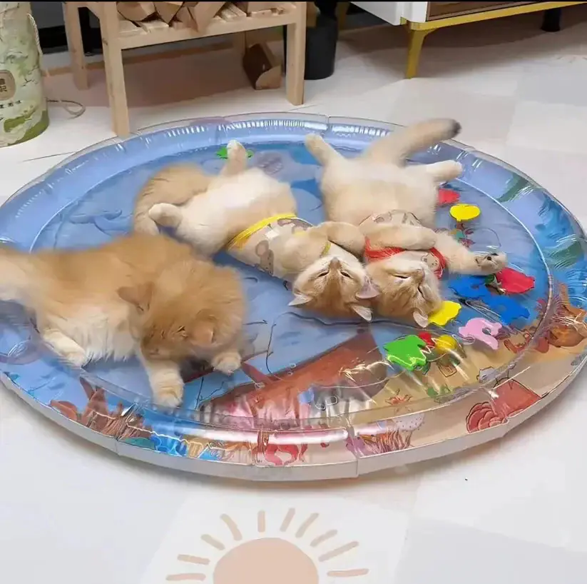 Dog and cat sharing the mat